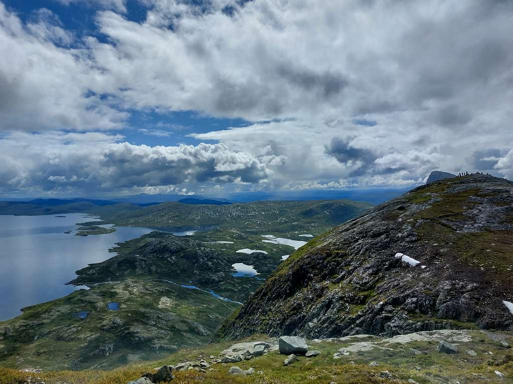 Synshorn summit