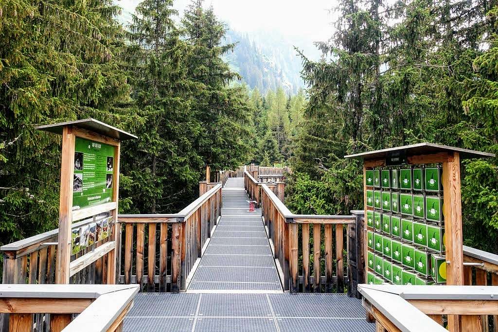 Baumzipfelweg Treetop Trail