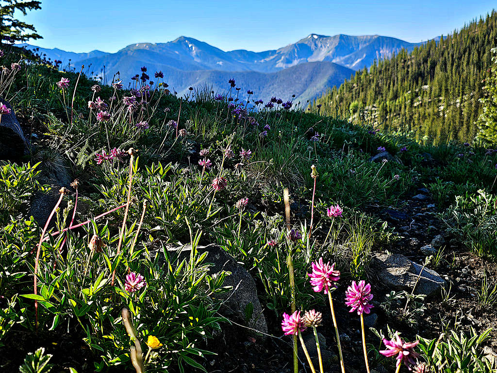 Lake Fork Peak and Vallecito Mountain : Photos, Diagrams & Topos ...