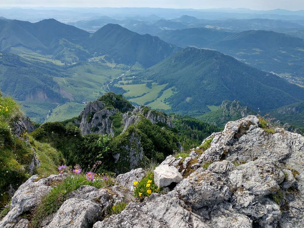 Veľký Rozsutec summit view W