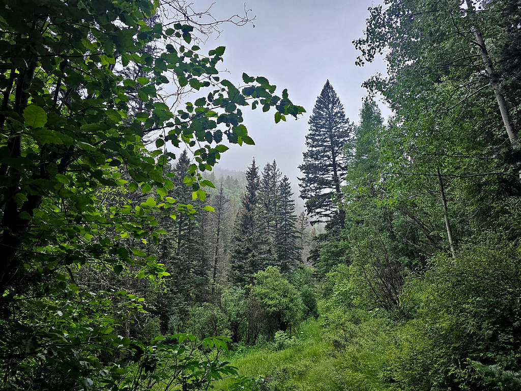 Hiking in the rain : Photos, Diagrams & Topos : SummitPost