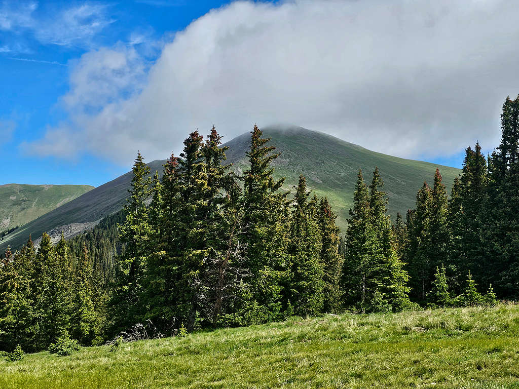 Venado Peak