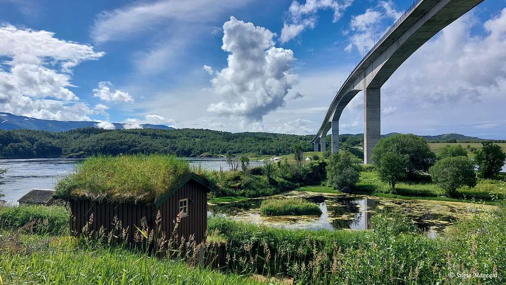 Saltstraumen bridge c