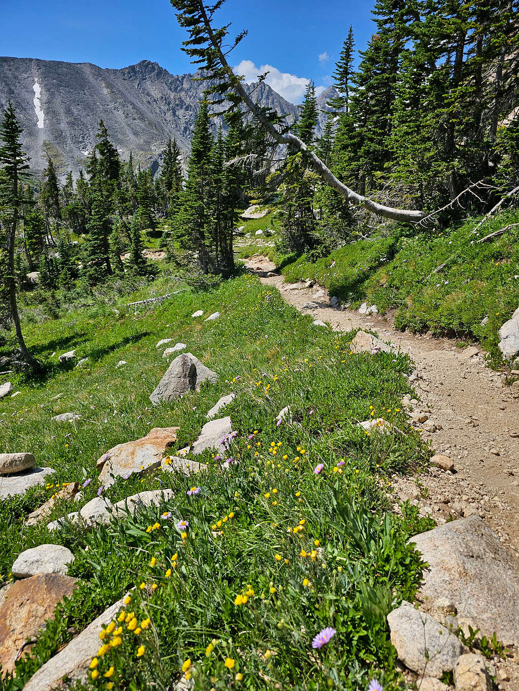 Niwot Ridge and Navajo Peak