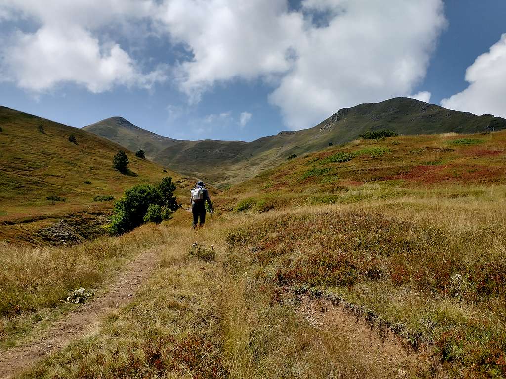 Walking up Valušnica pasture