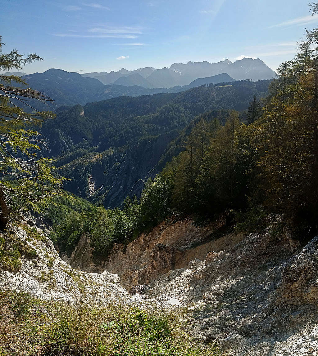 Wild ravine above the Potok Graben