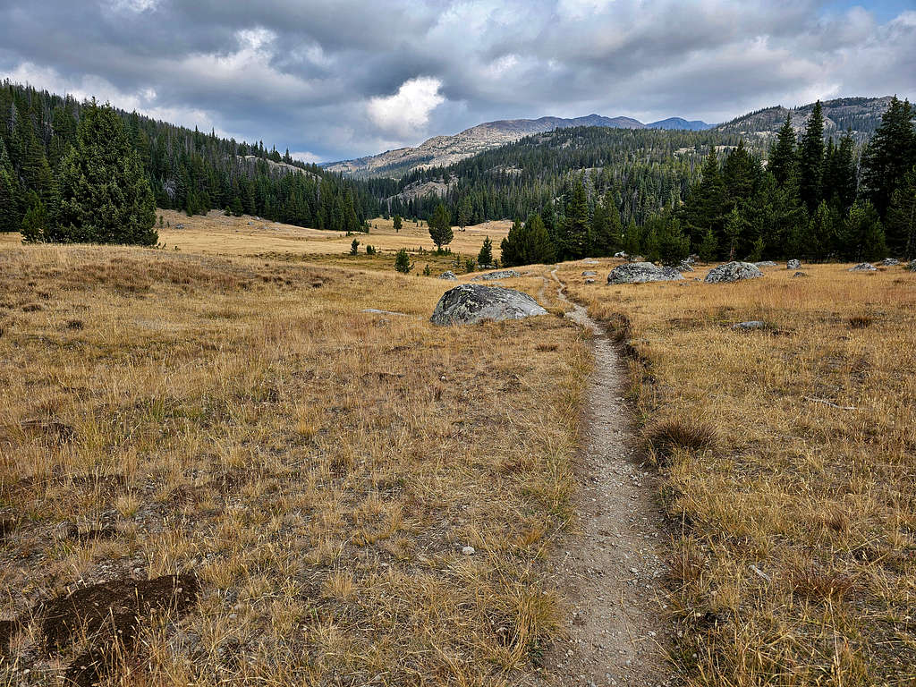 Mistymoon Trail