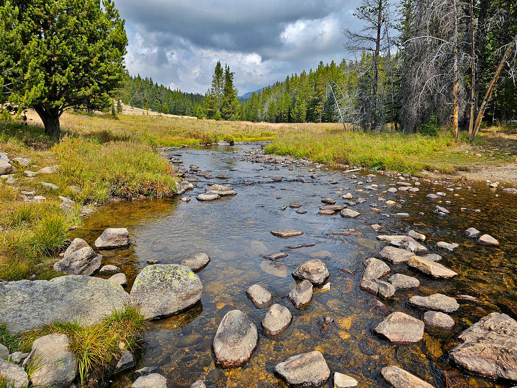 Mistymoon Trail