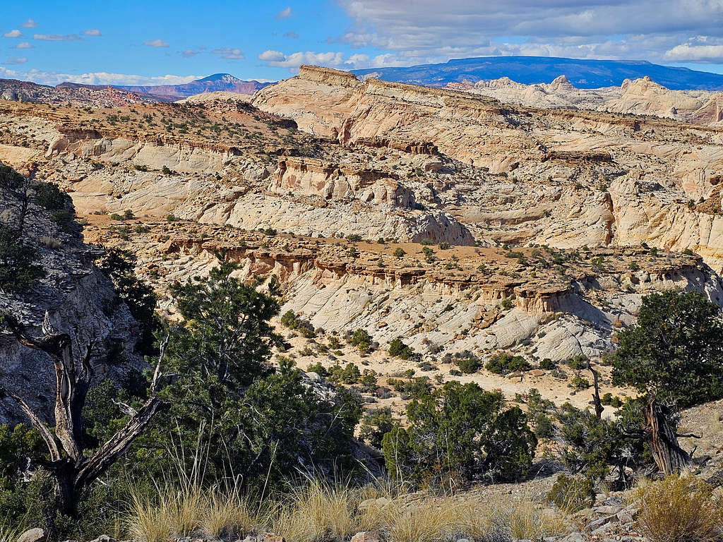 Thousand Lake Mountain and Ant Hill