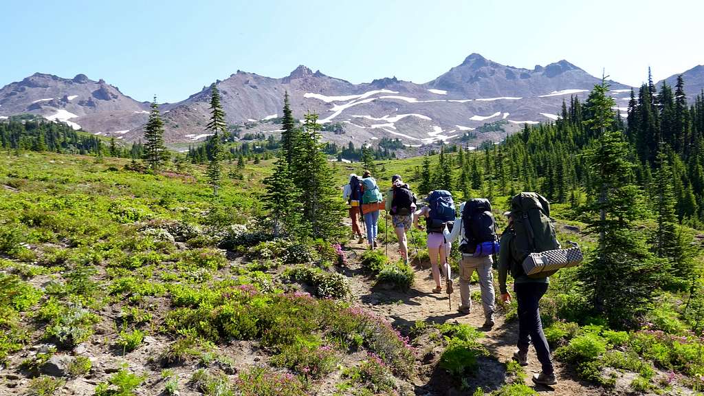 Goat Rocks as seen from Snowgrass Trail near the PCT