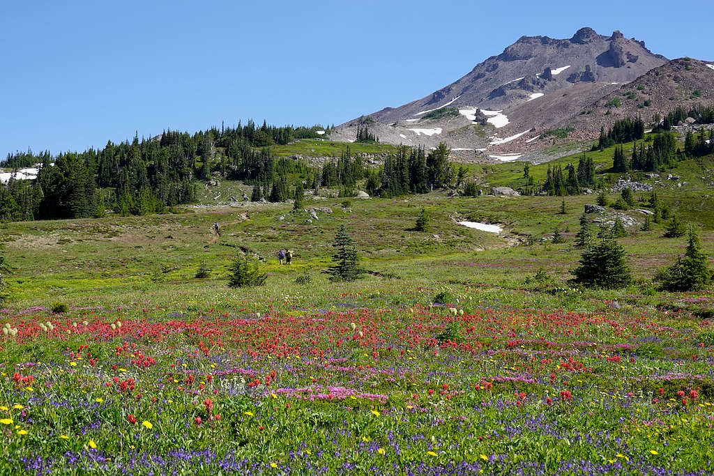 Old Snowy Mountain from Snowgrass Flat