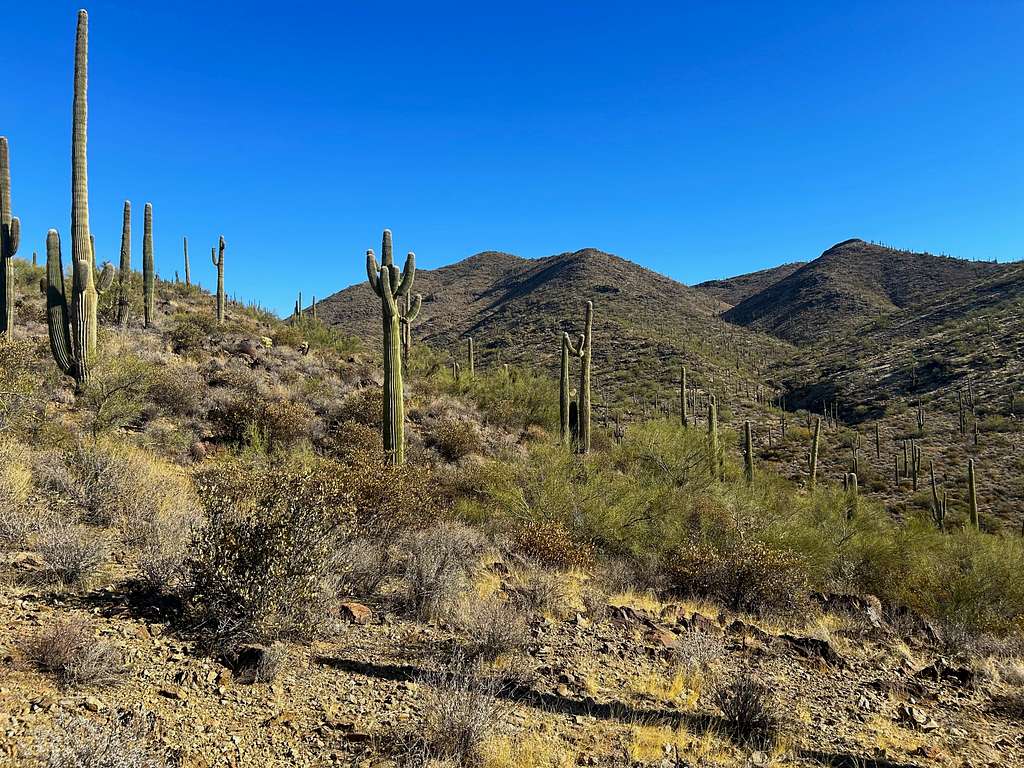 Photo View Peak - New River, AZ