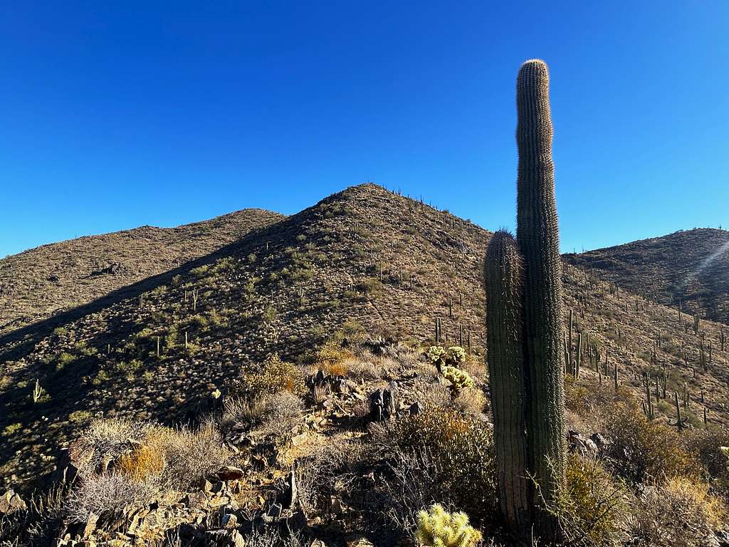 View to the summit from the northeast ridge route