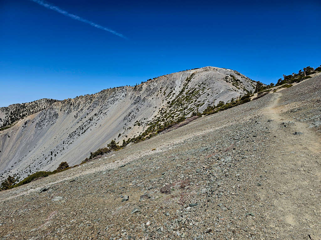 Looking back at the summit of Mt. San Antonio : Photos, Diagrams