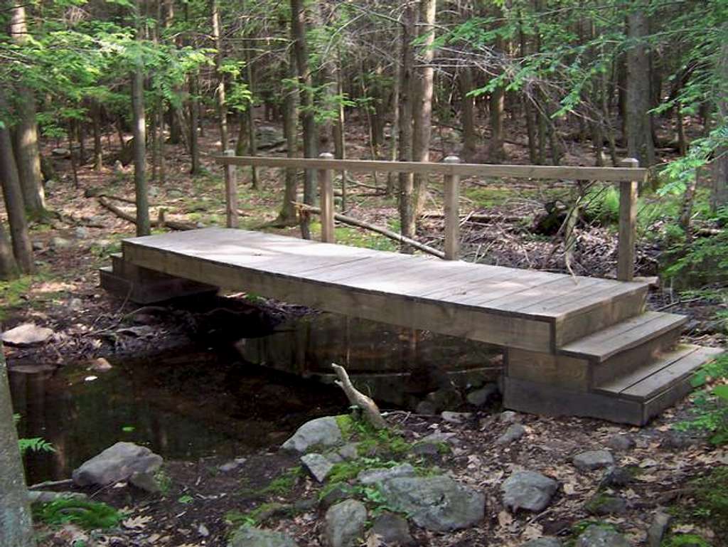 Bridge Built by Boy Scout...