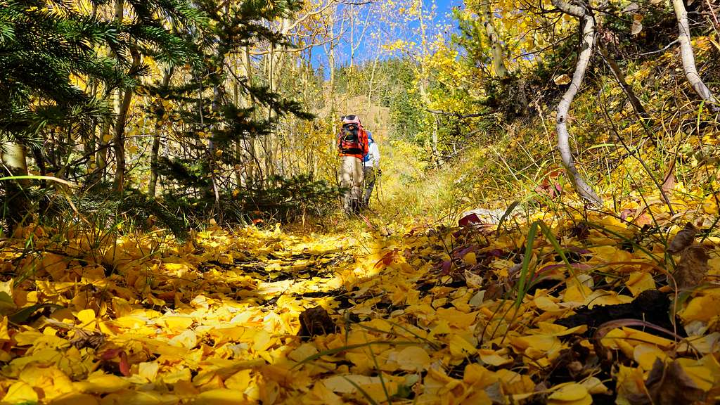 Fall season : Photos, Diagrams & Topos : SummitPost