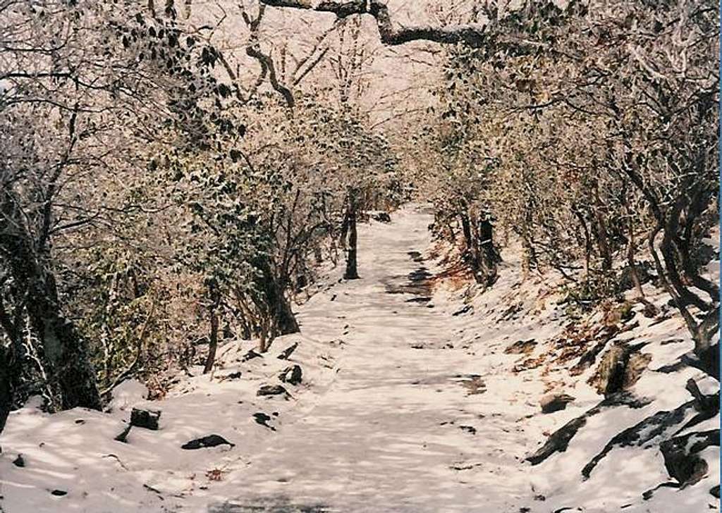 January 1994 - Summit trail...