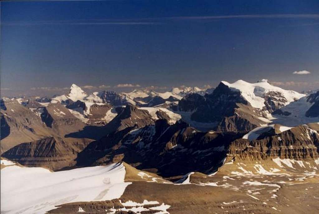 Athabasca Summit View