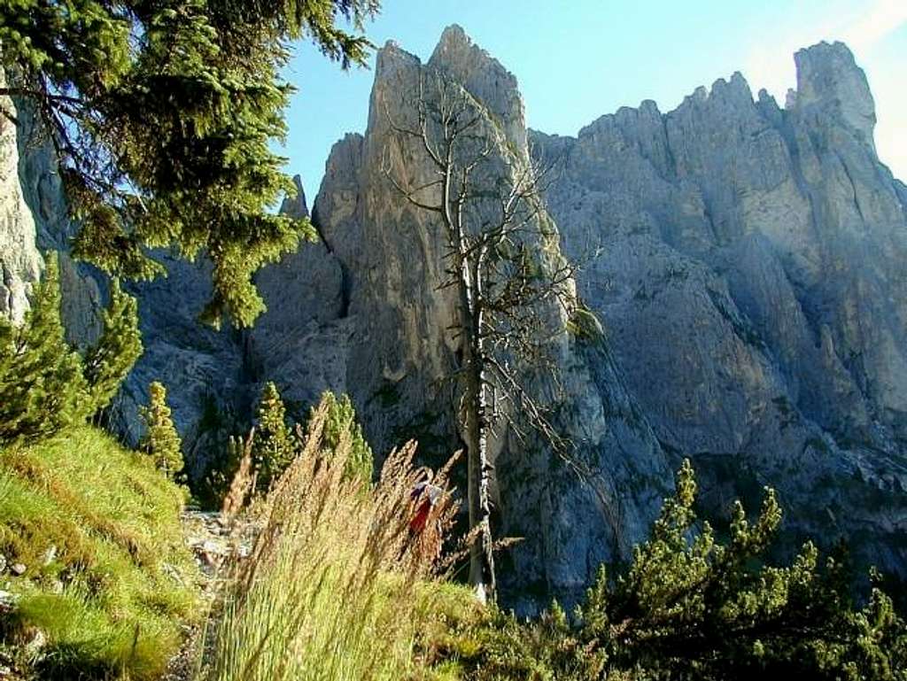Typical Dolomites rocks just...