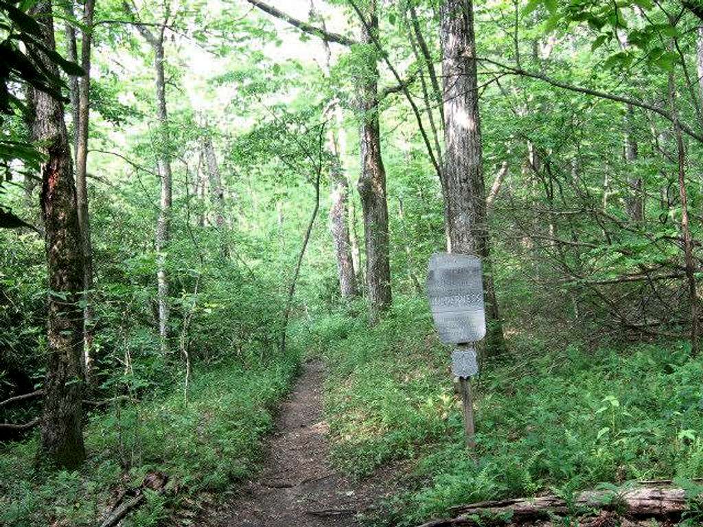 The Appalachian Trail as it...