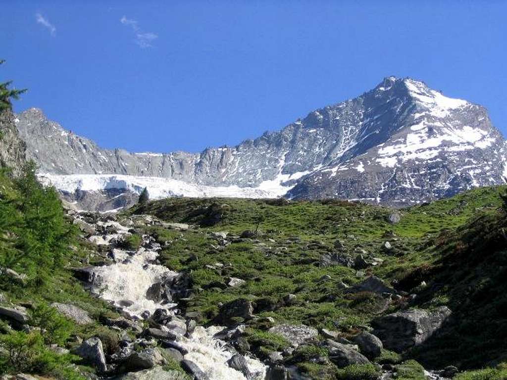 Grivola Summit and the alpine...