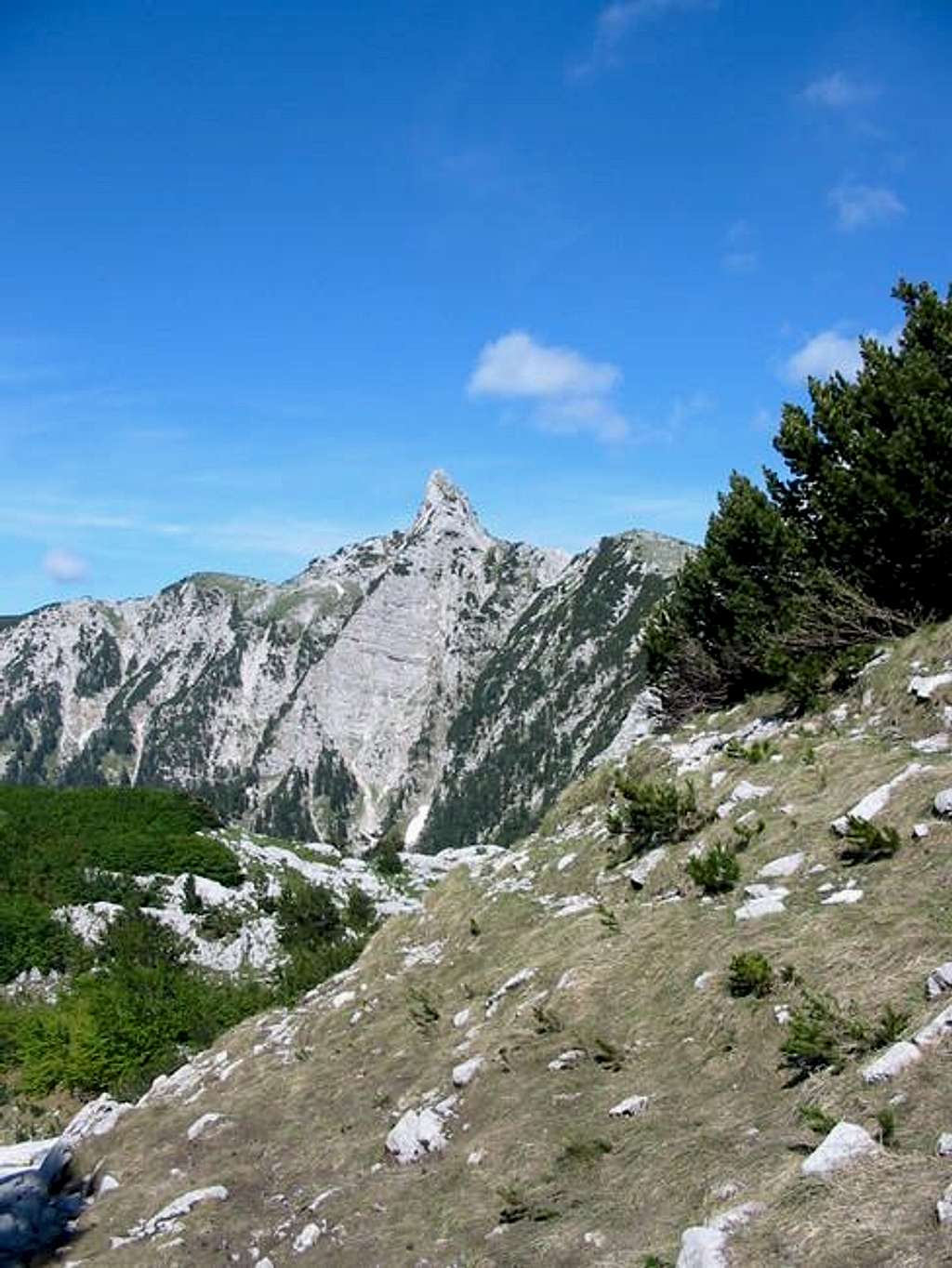 Zubac peak, June, 2005