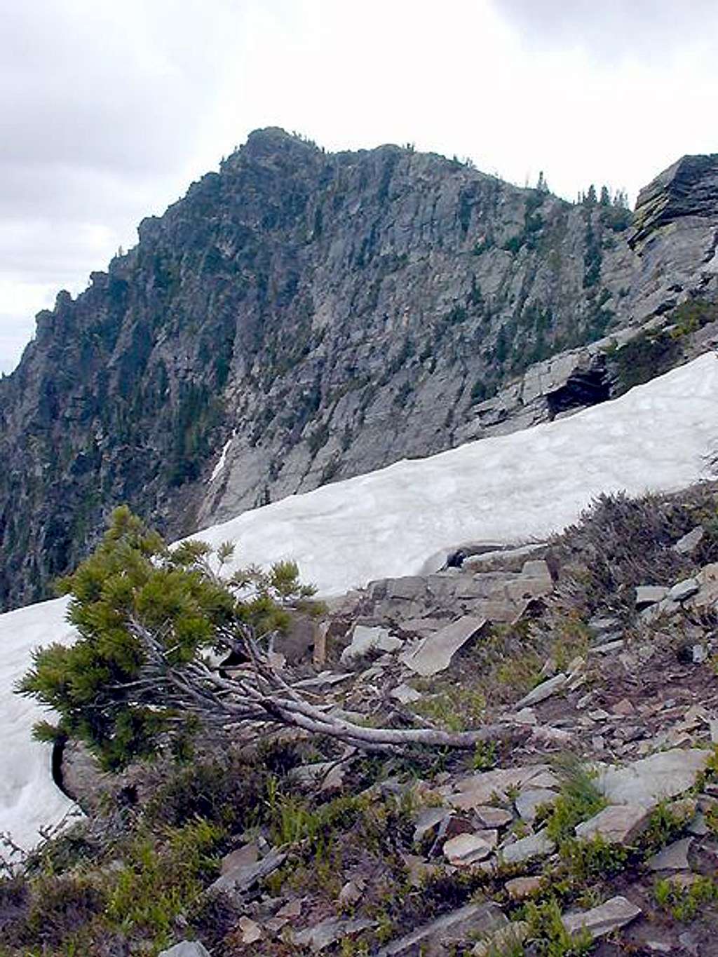 Scotchman Peak from where the trail meets the final ridge.