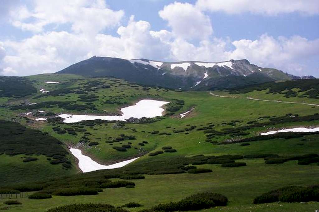 Schneeberg in summer (peak...