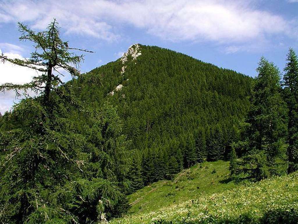 Goli vrh, the northern...