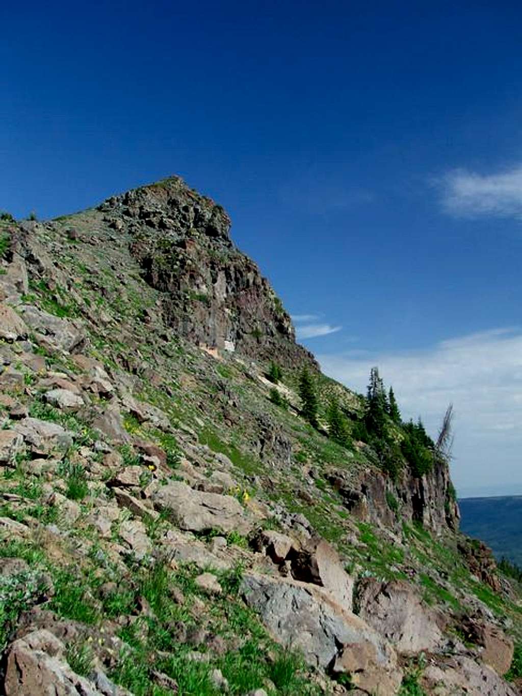 Looking NW along the summit...