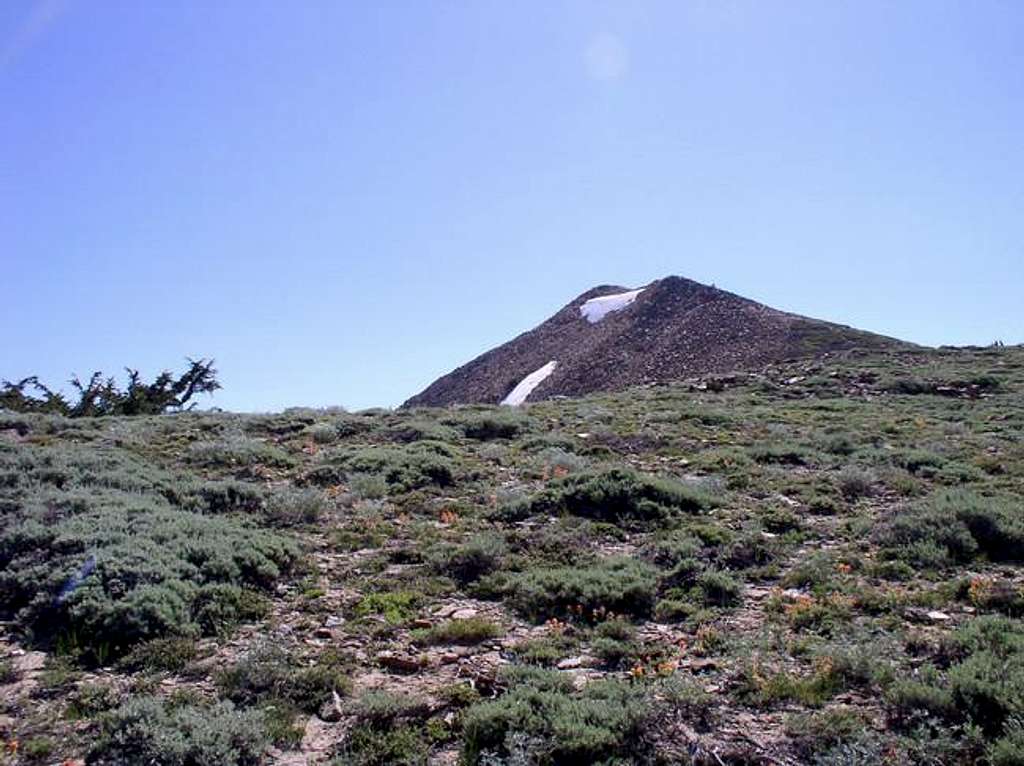 Mokelumne Peak from the...