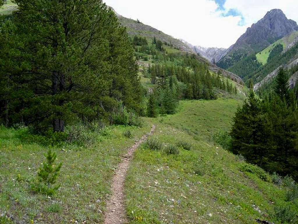Approach trail to Grizzly...