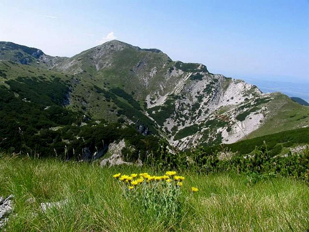 Velebit-Croatia. Viev from...