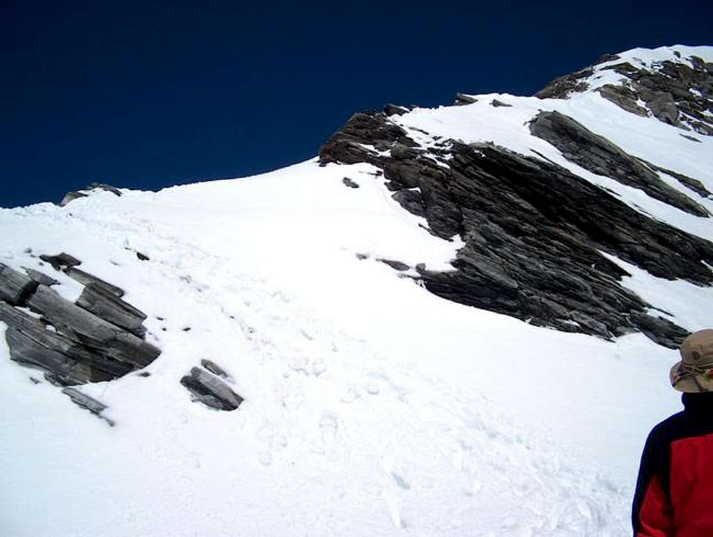 The snow - ridge (of the...