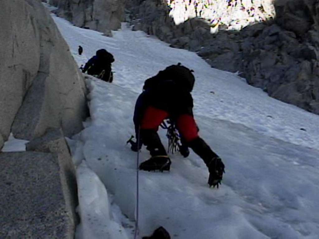 Climbing Mt. Mendel low on...