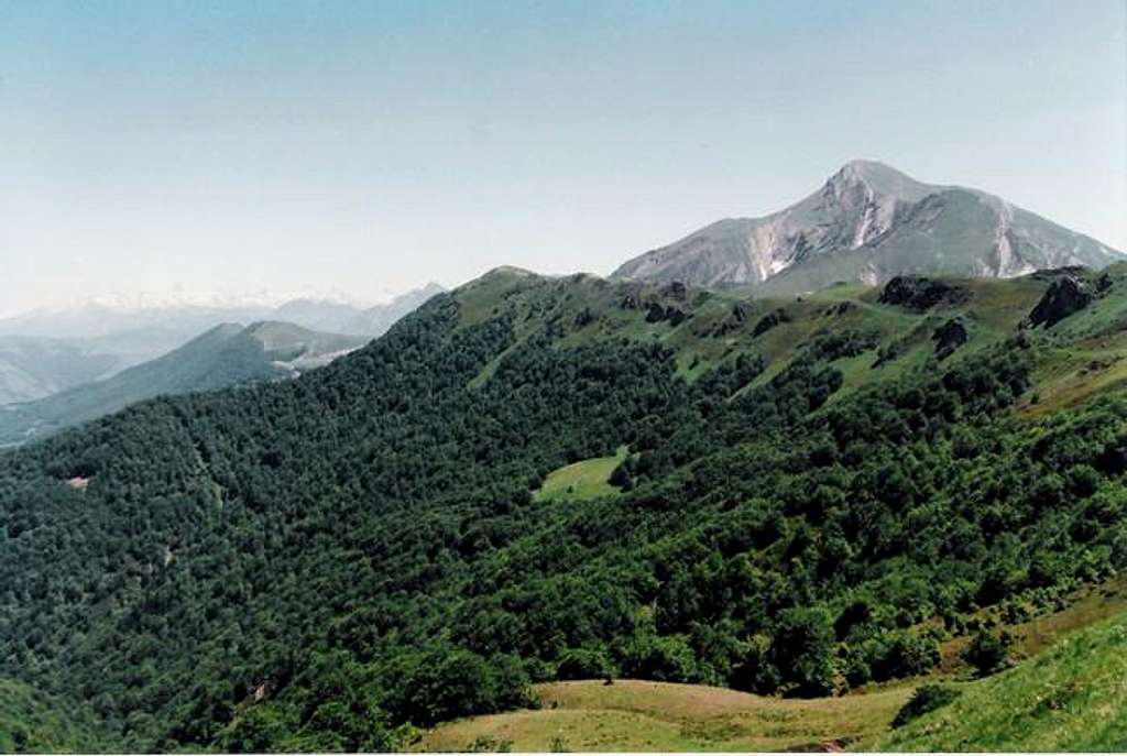 Ori seen from Irati Forest