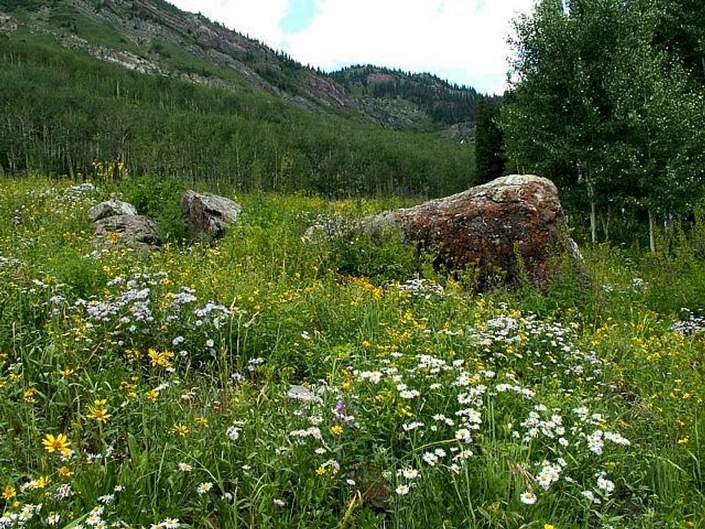 Lead King Basin rivals any...