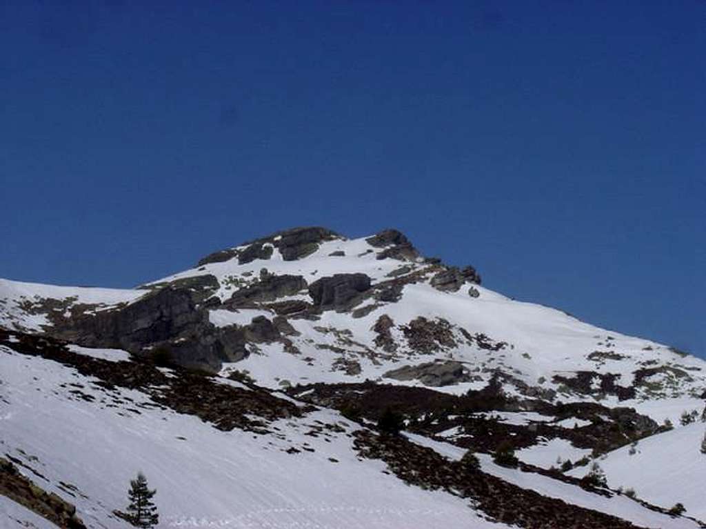  Picos de Urbion . March 2005.
