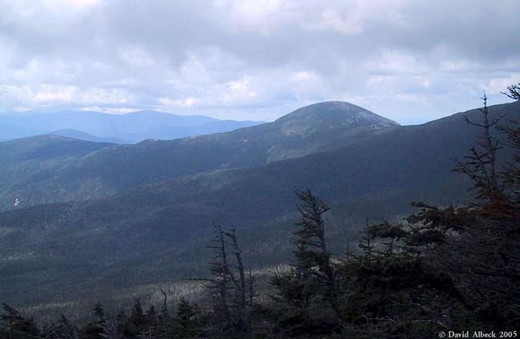 Mt Eisenhower from the...