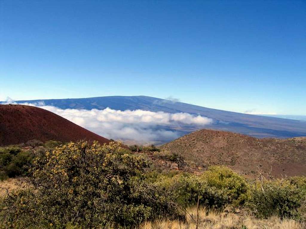 Mauna Loa above the clouds...
