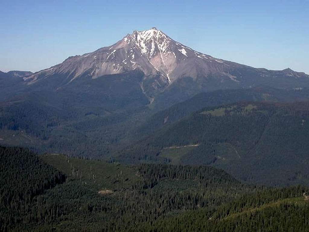 Mt. Jefferson from Bachelor Mountain