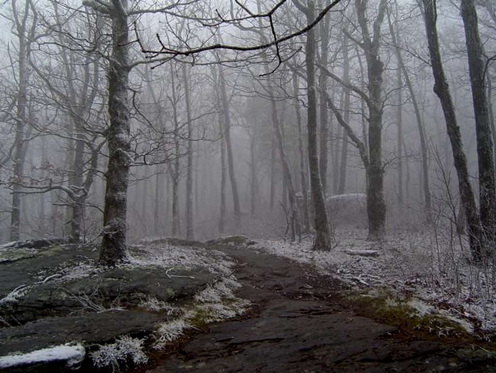 Here's the trail on a foggy...