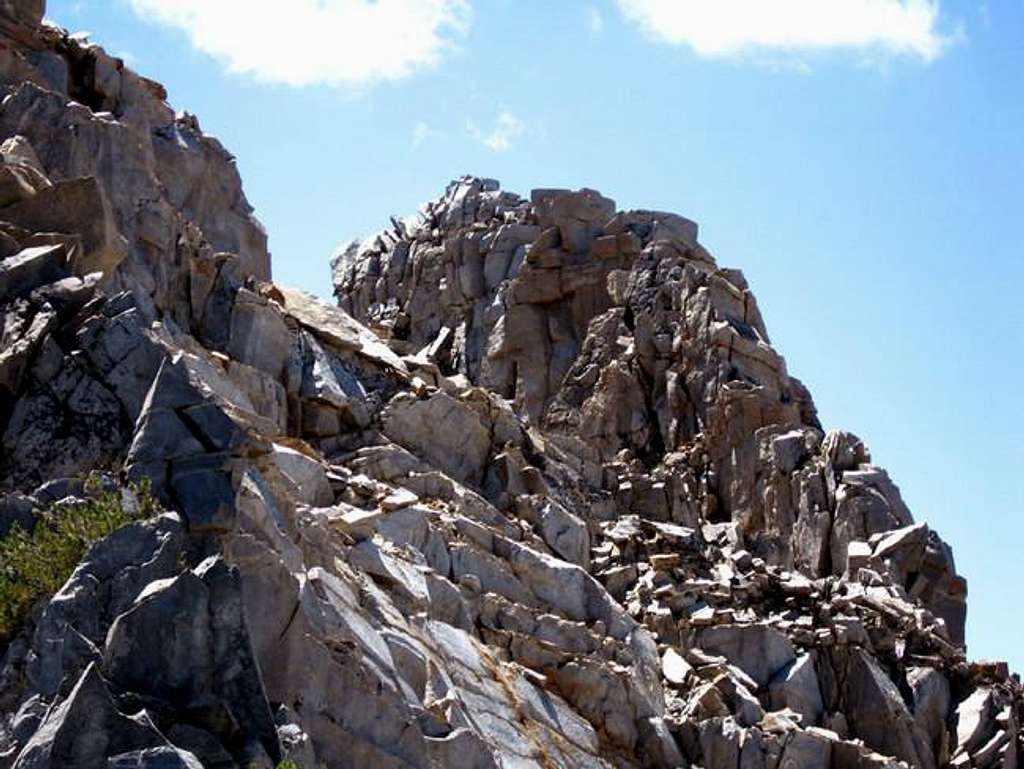 South summit of Saurian Crest