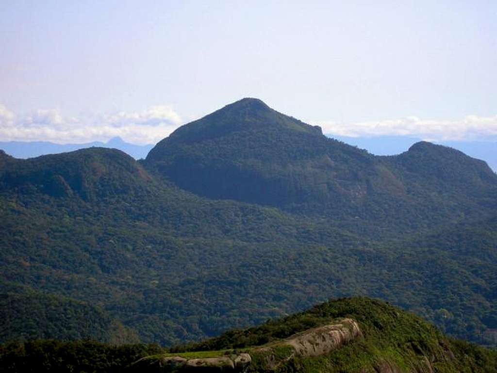 Pico da Tijuca is the highest...