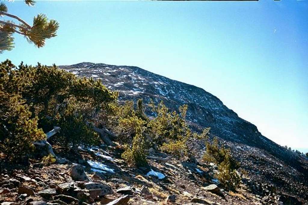 View of the summit from the...