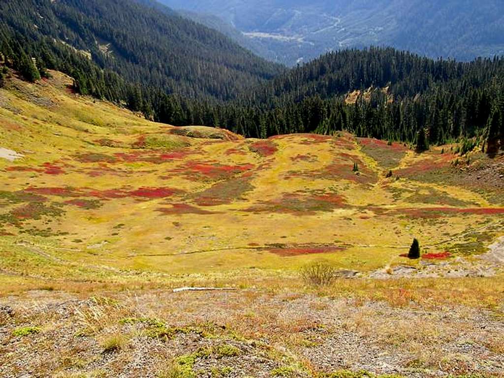 Colorful meadows on the east...