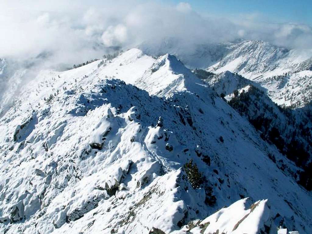 Norton Peak's summit ridge...
