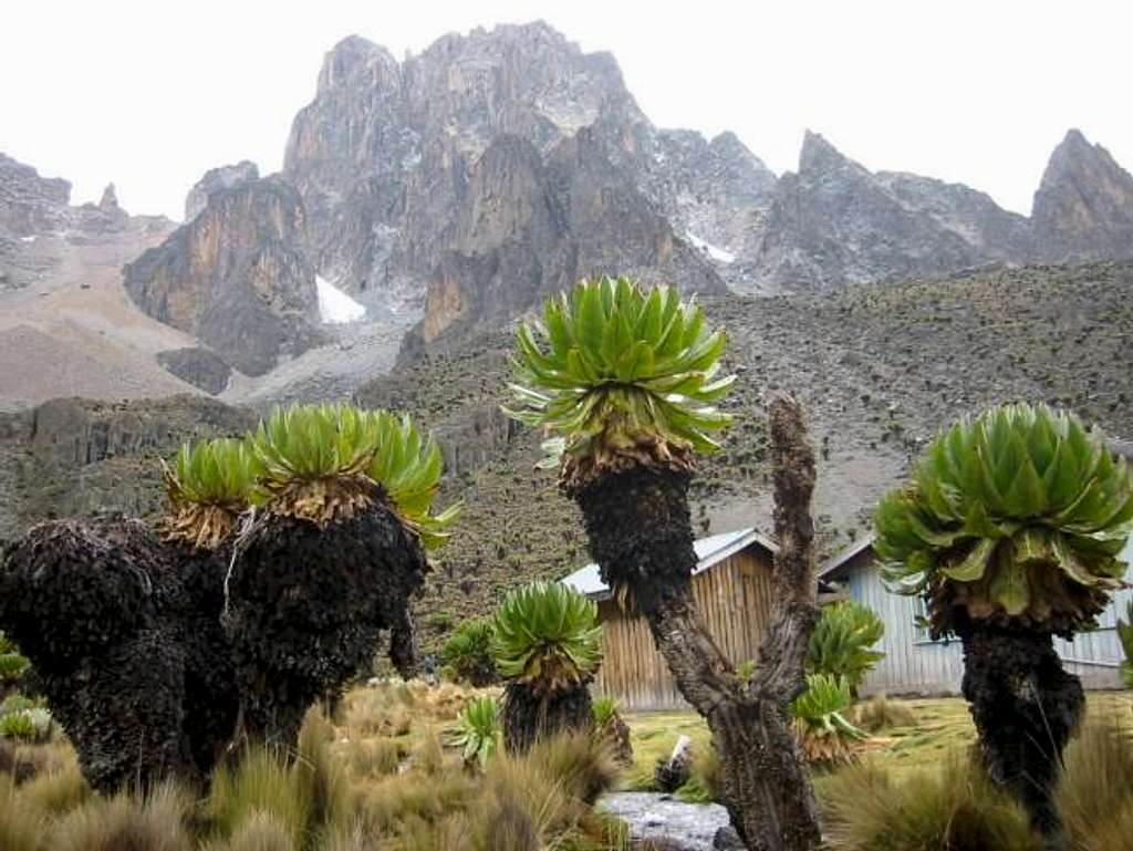 Mount Kenya from Shiptons Camp