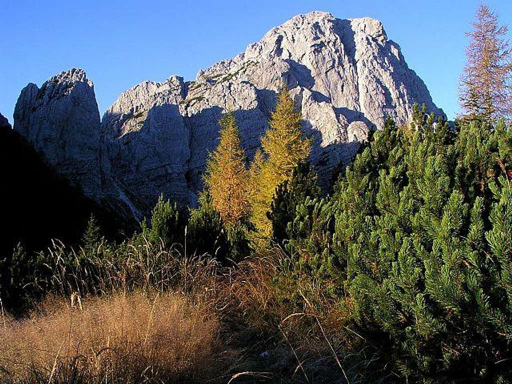 Monte Sernio from Foran da la...