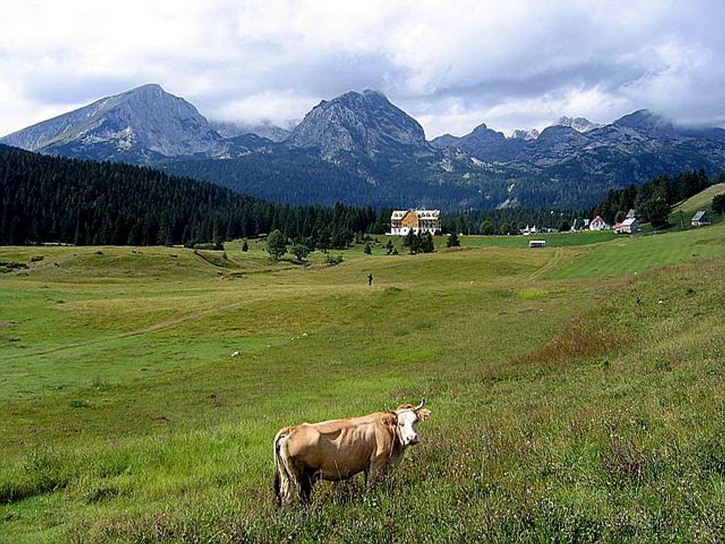 Alpine scenery of Durmitor